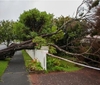 新西兰全国大部分地区有大雨和强风