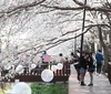 韩国旅游机构所接游客投诉量创新高