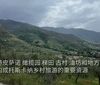 走进意大利橄榄油坊